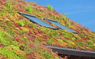 Sustead living roof systems