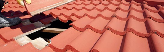 compare Sustead roof repair quotes